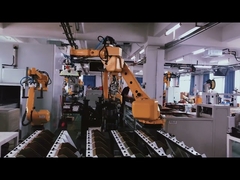 Portes de barrière de véhicule de commutateurs de limite de sécurité d'interface de feu de signalisation de baisse de bras doubles